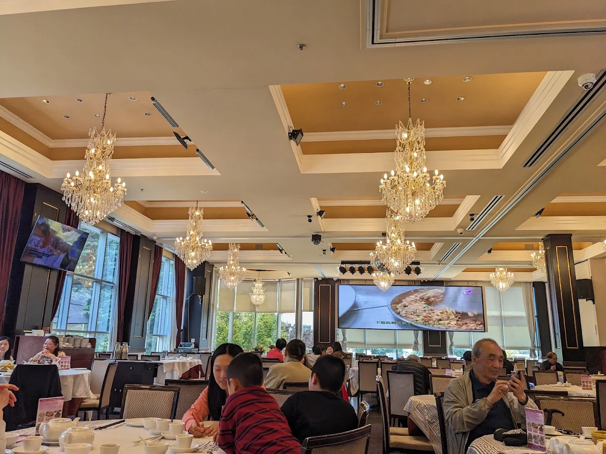 Vibe, Royal Garden Seafood Restaurant