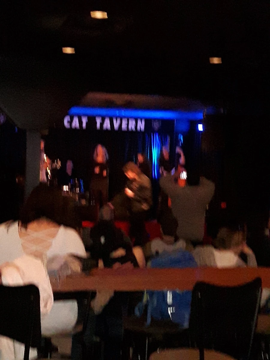 Vibe, Black Cat Tavern