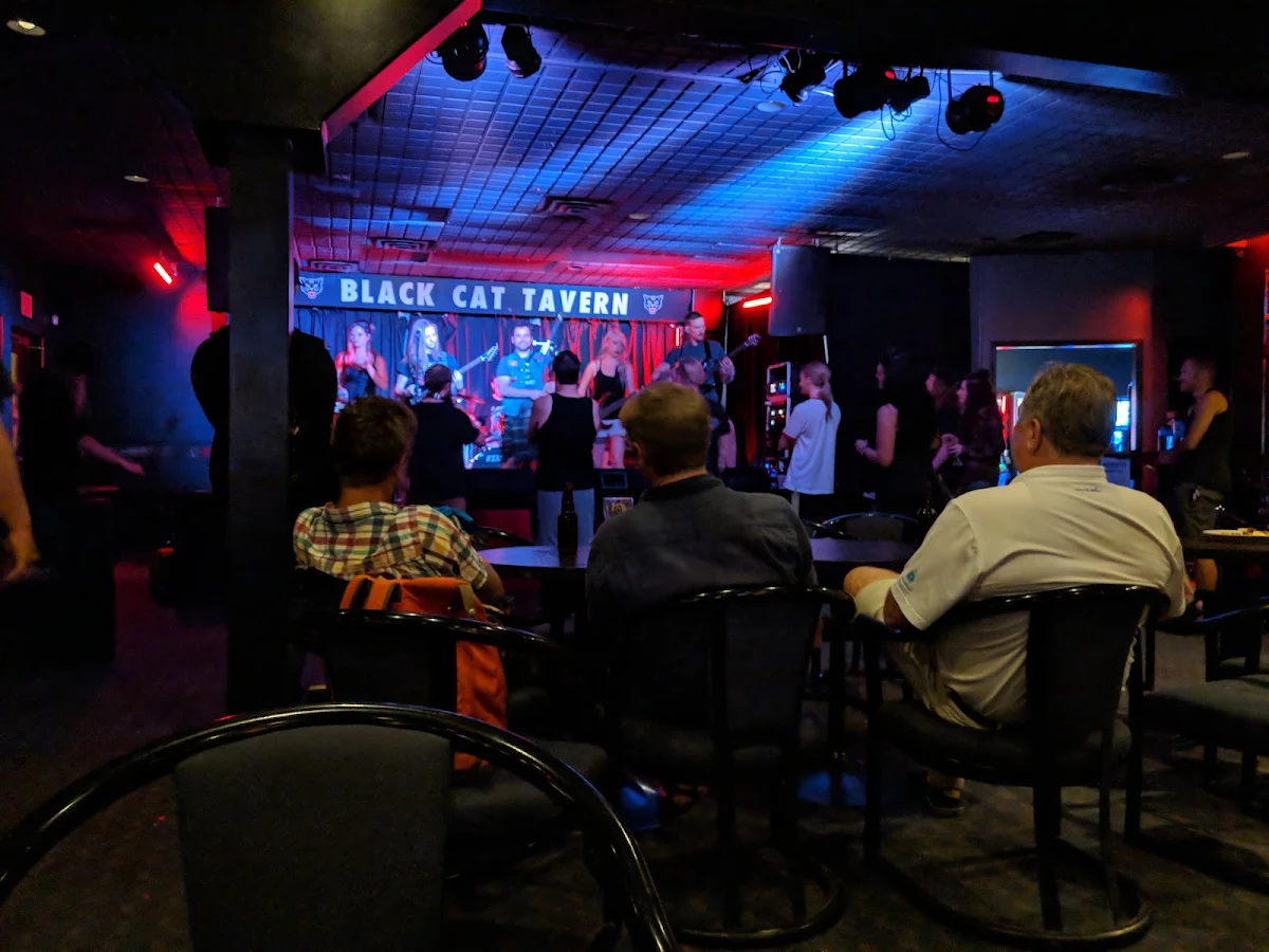 Vibe, Black Cat Tavern