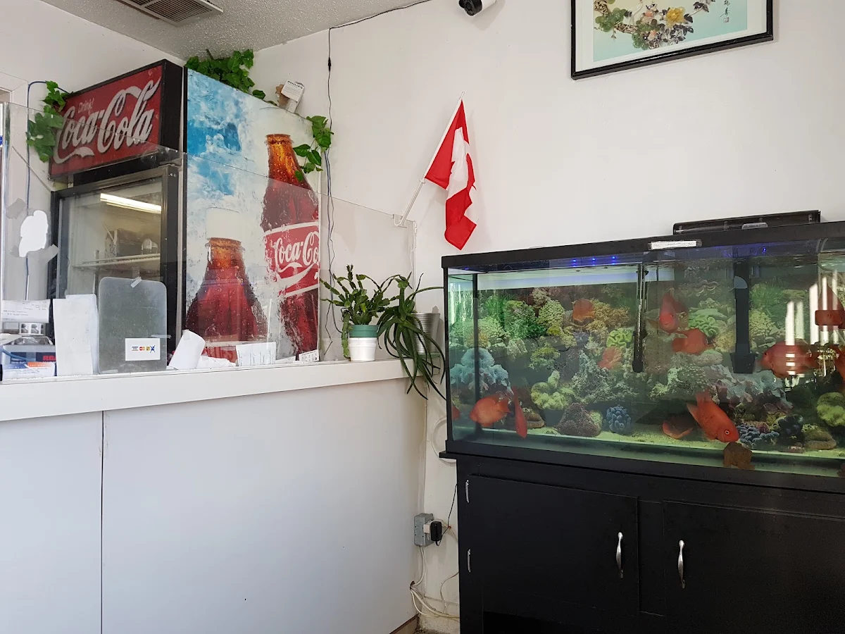Vibe, Willie's Chinese Food