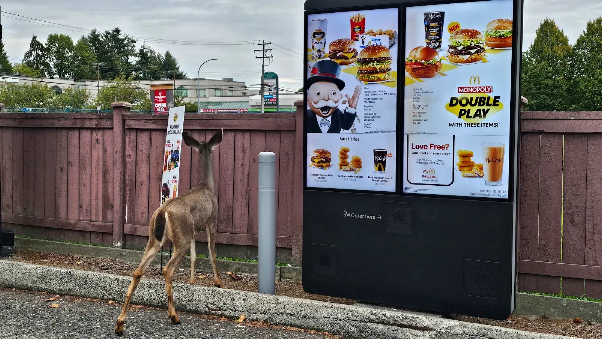 Menu, McDonald's