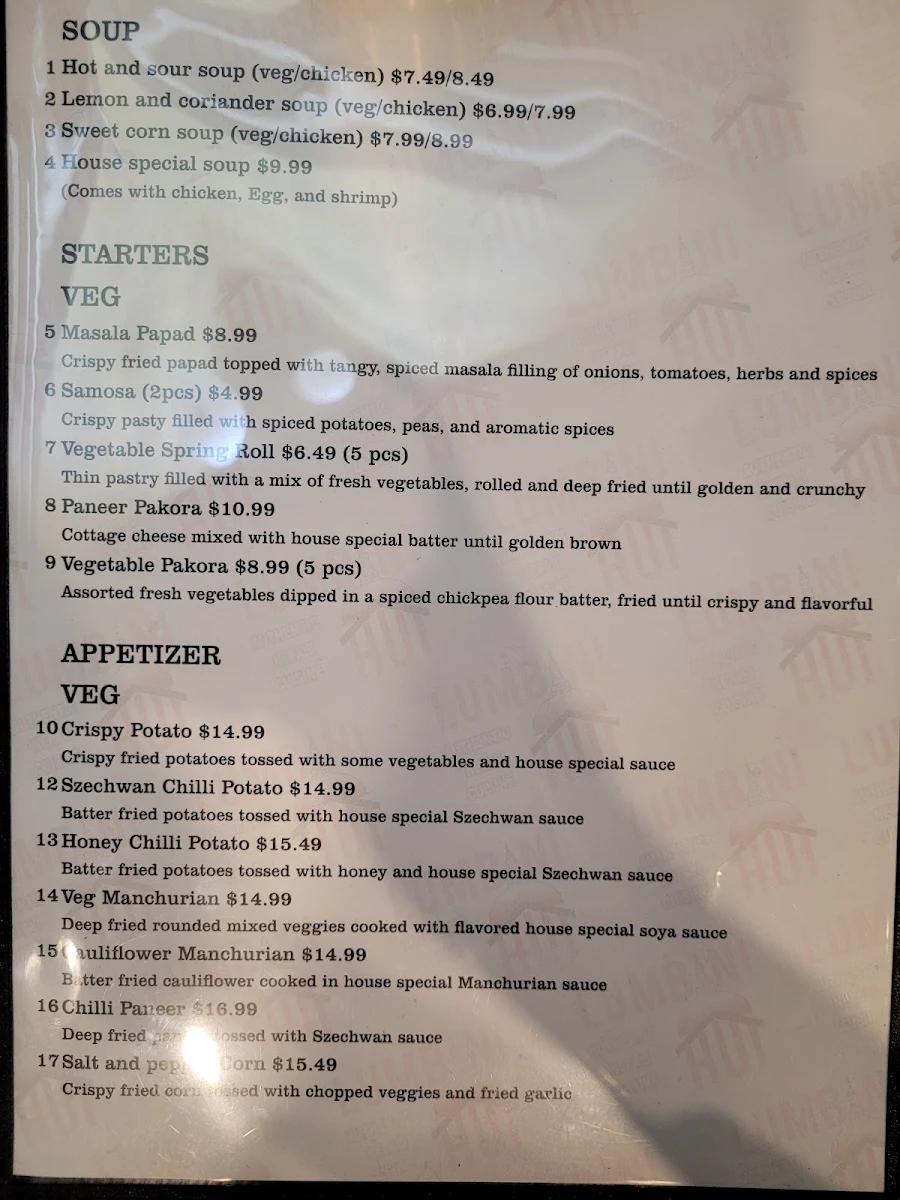 Menu, Lumbini Hut: Best Indian Nepali and Hakka Restaurant