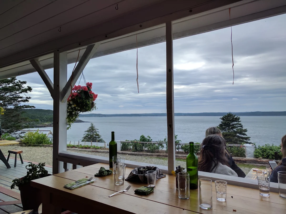 Vibe photo 6