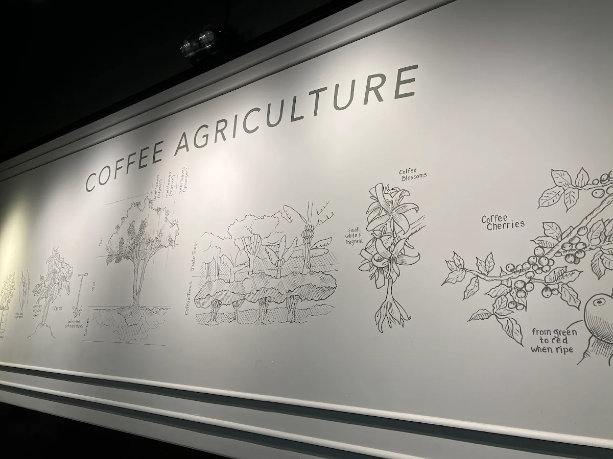 Menu, Starbucks Coffee Company