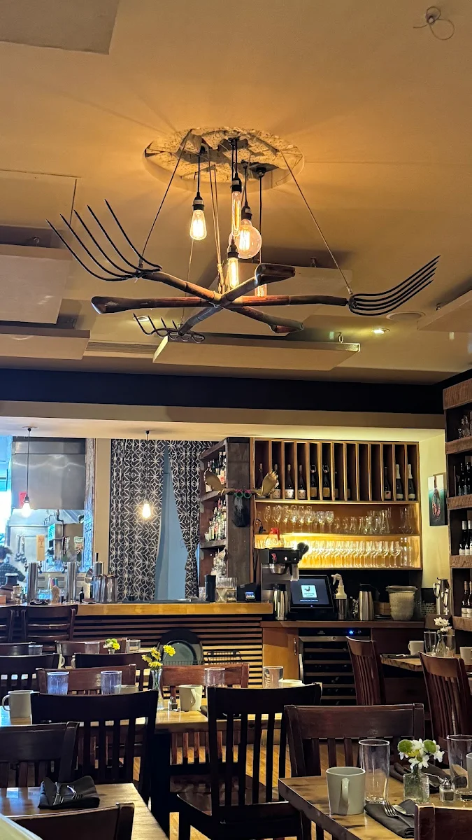 Vibe, Fable Kitchen