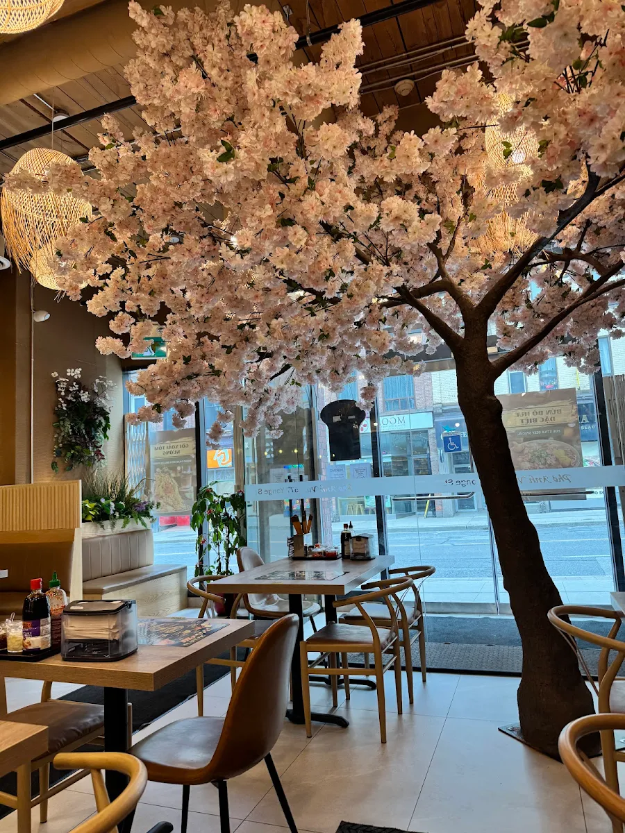 Vibe, Pho Anh Vu Toronto