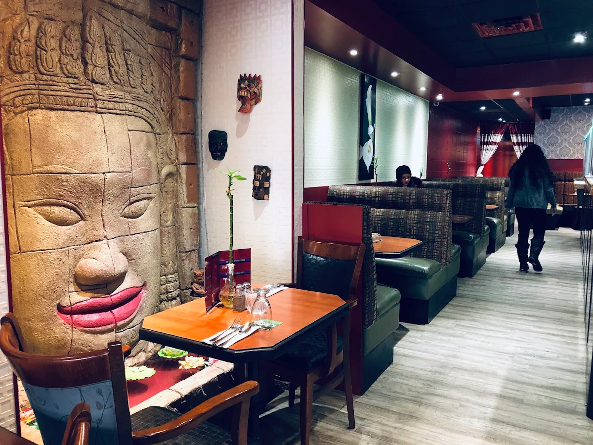 Vibe, Y-Not Indian Kitchen and Bar