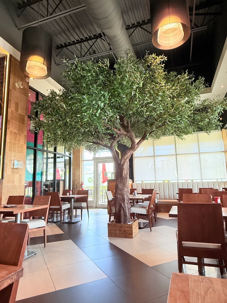 Vibe, Paramount Middle Eastern Kitchen