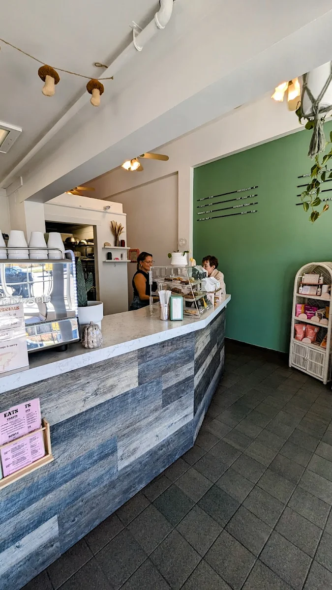 plant.ed café cover