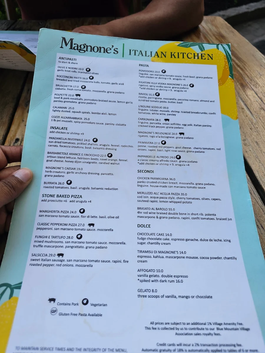 Menu, Magnone's Italian Kitchen