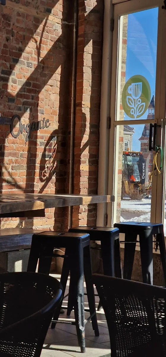 Vibe, Kingston Coffee House