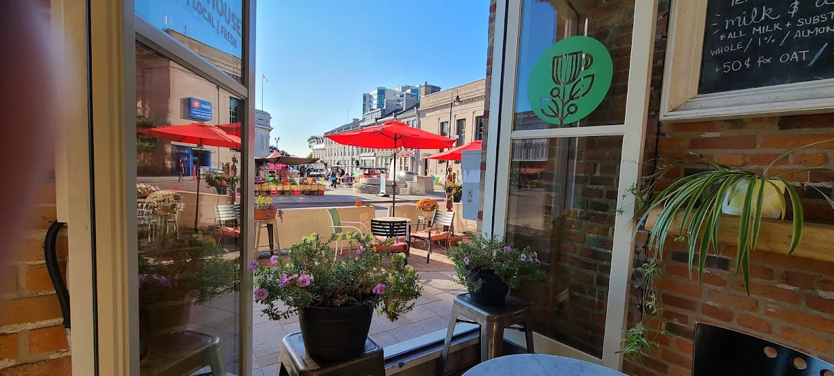 Vibe, Kingston Coffee House