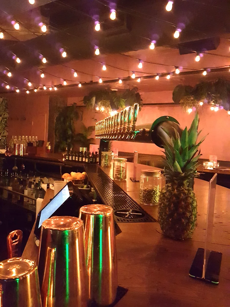 Vibe, Good Fortune Bar