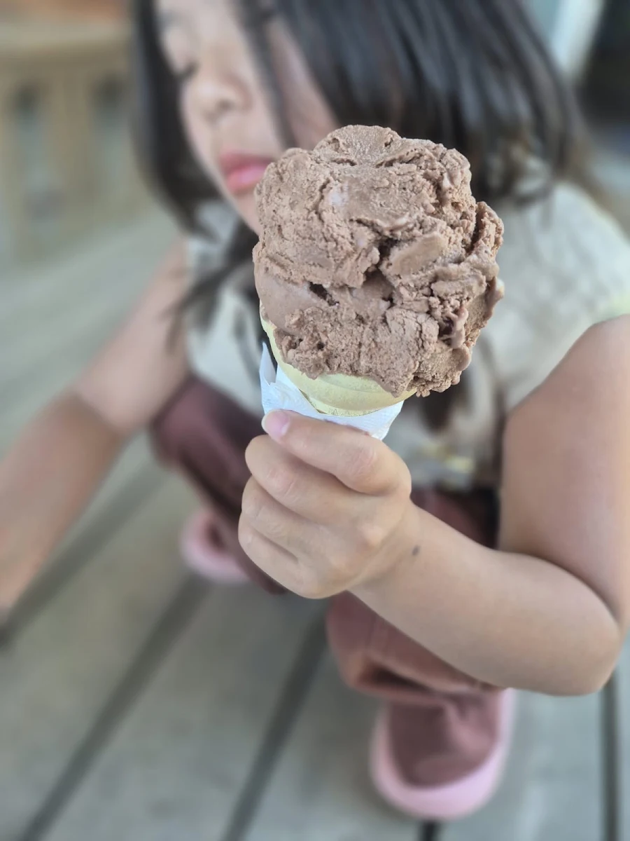 Food & drink, Hope Bay Ice Cream and General Store