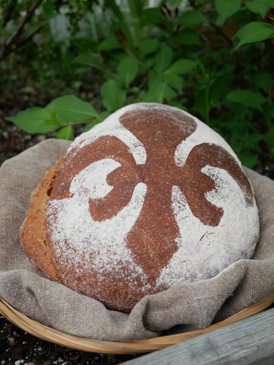Food & drink photo 8
