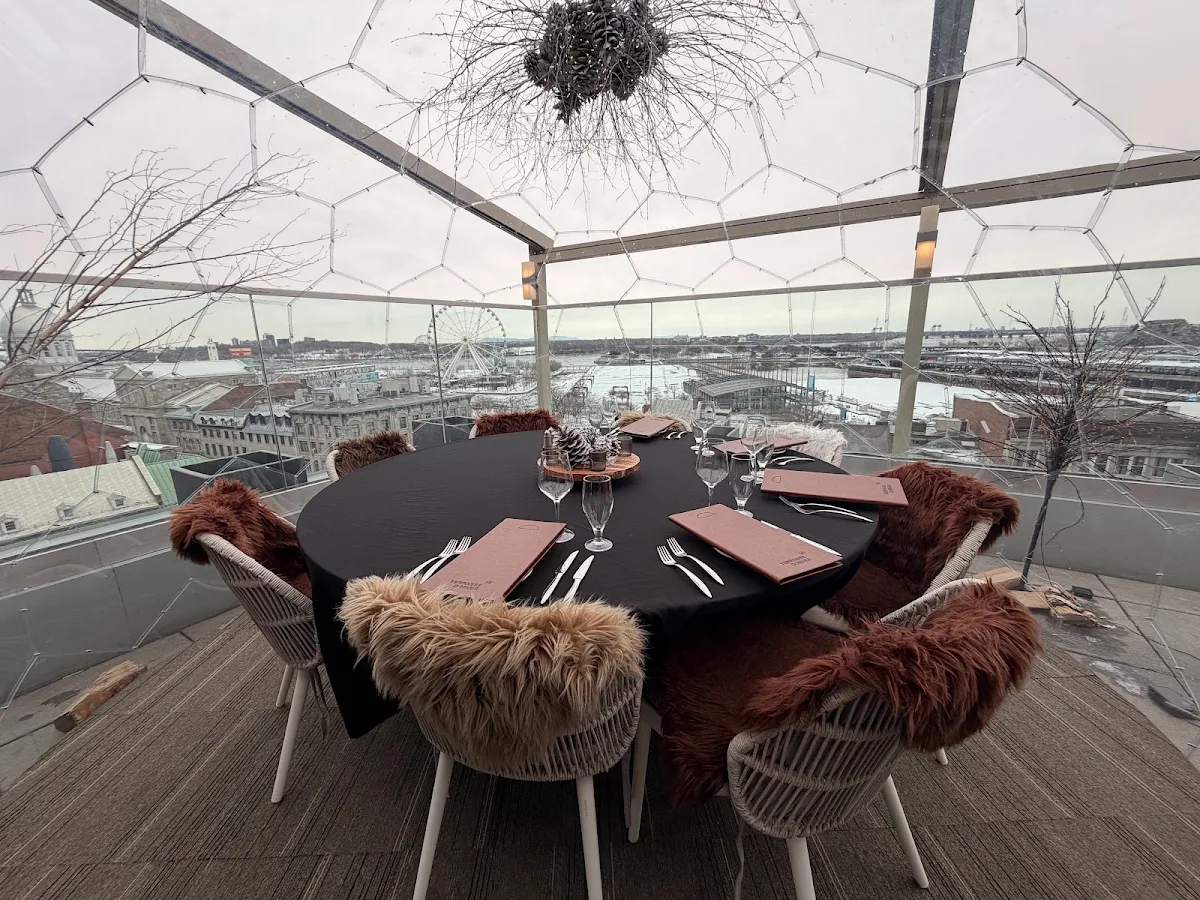 Vibe, Terrasse William Gray