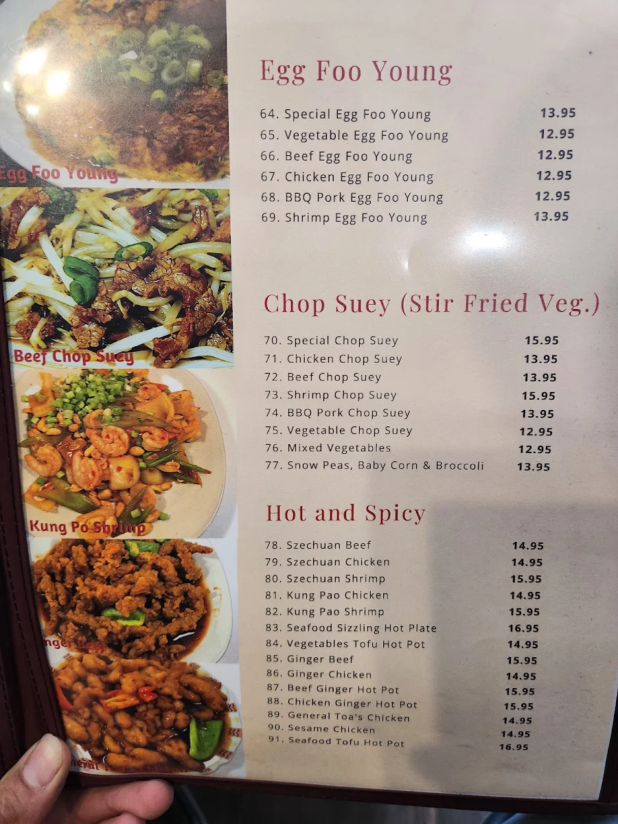 Menu, Tasty Wok (Stettler)