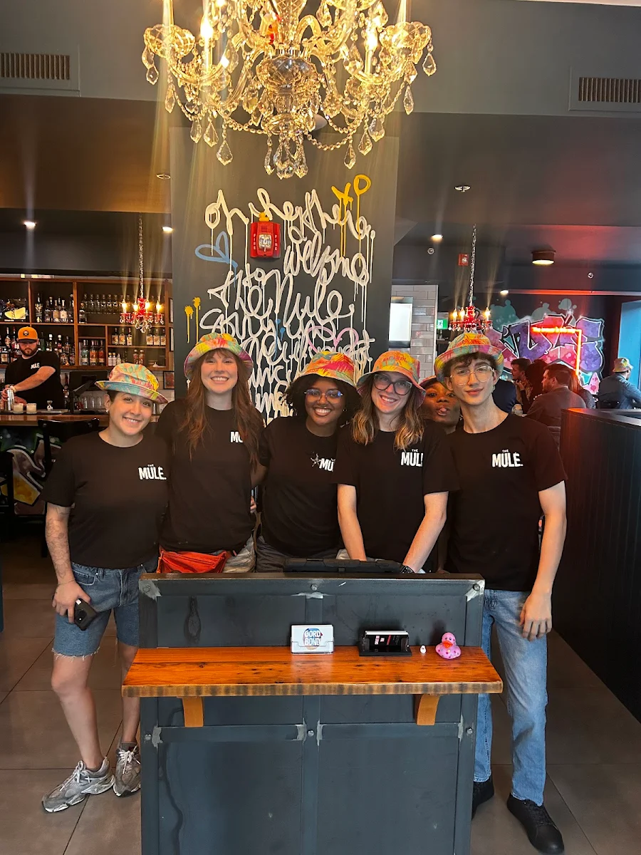 Vibe, The Mule St. Catharines