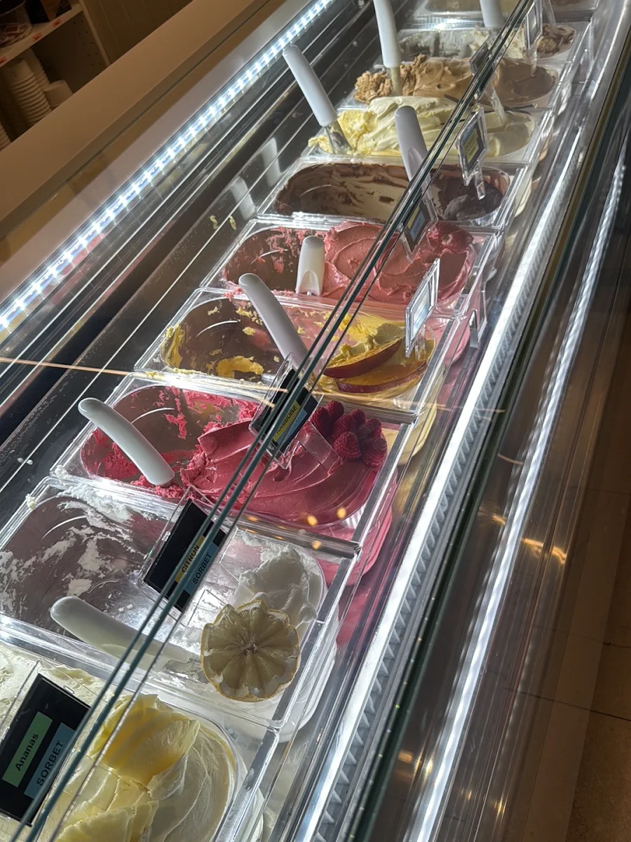 Vibe, Angelini Café