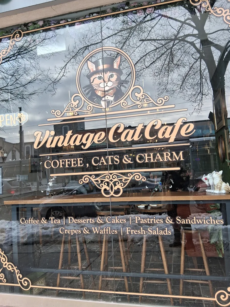 Menu, Vintage Cat Cafe Toronto