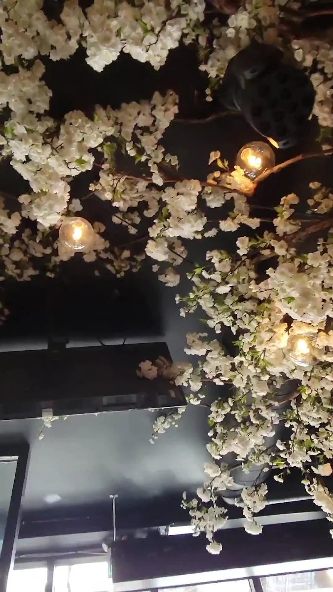 Vibe, Back to Brooklyn Restaurant