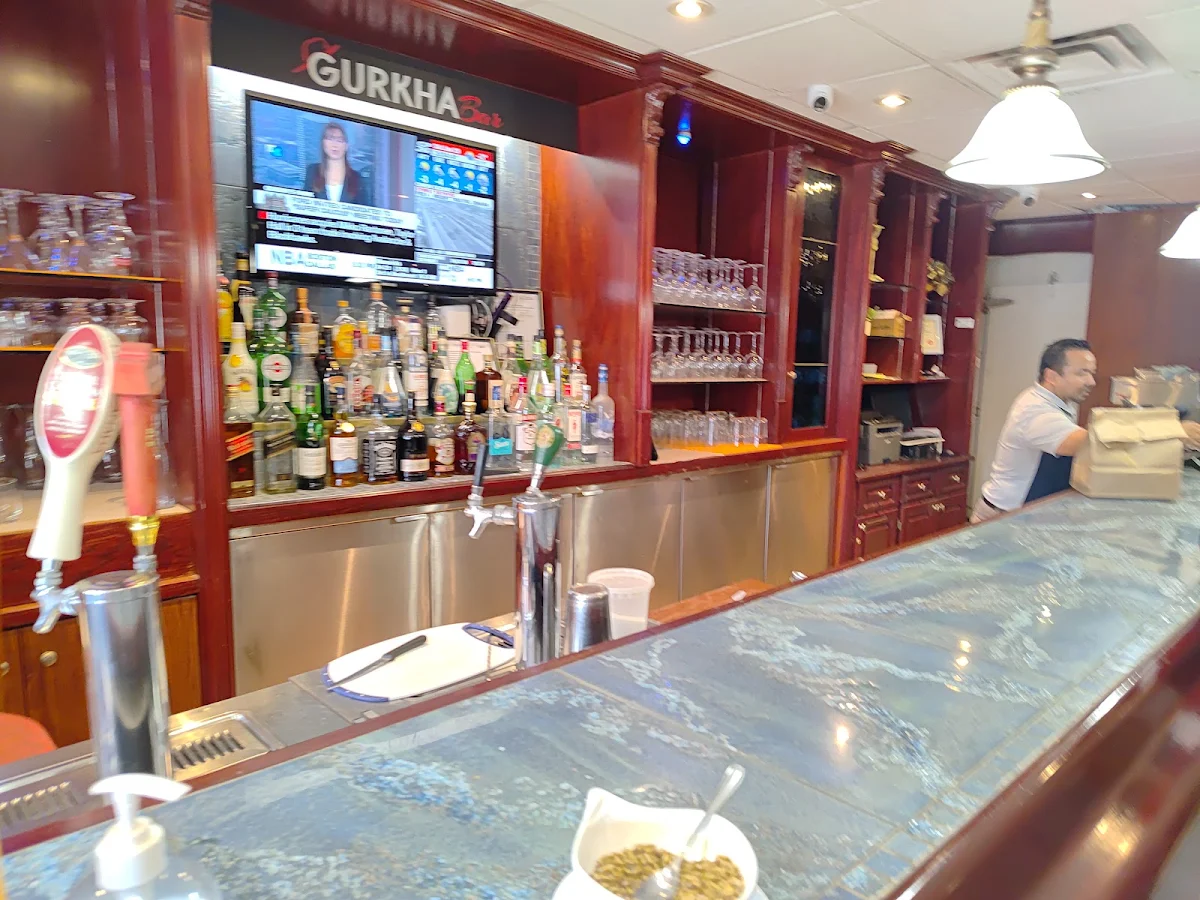 Vibe, Hakka Khazana Restaurant London