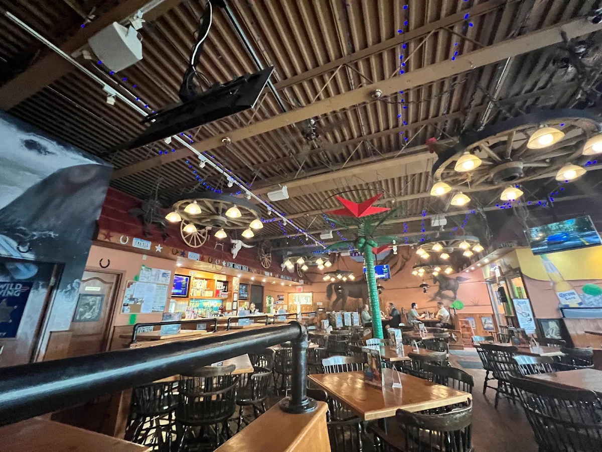 Vibe, Wild Wing