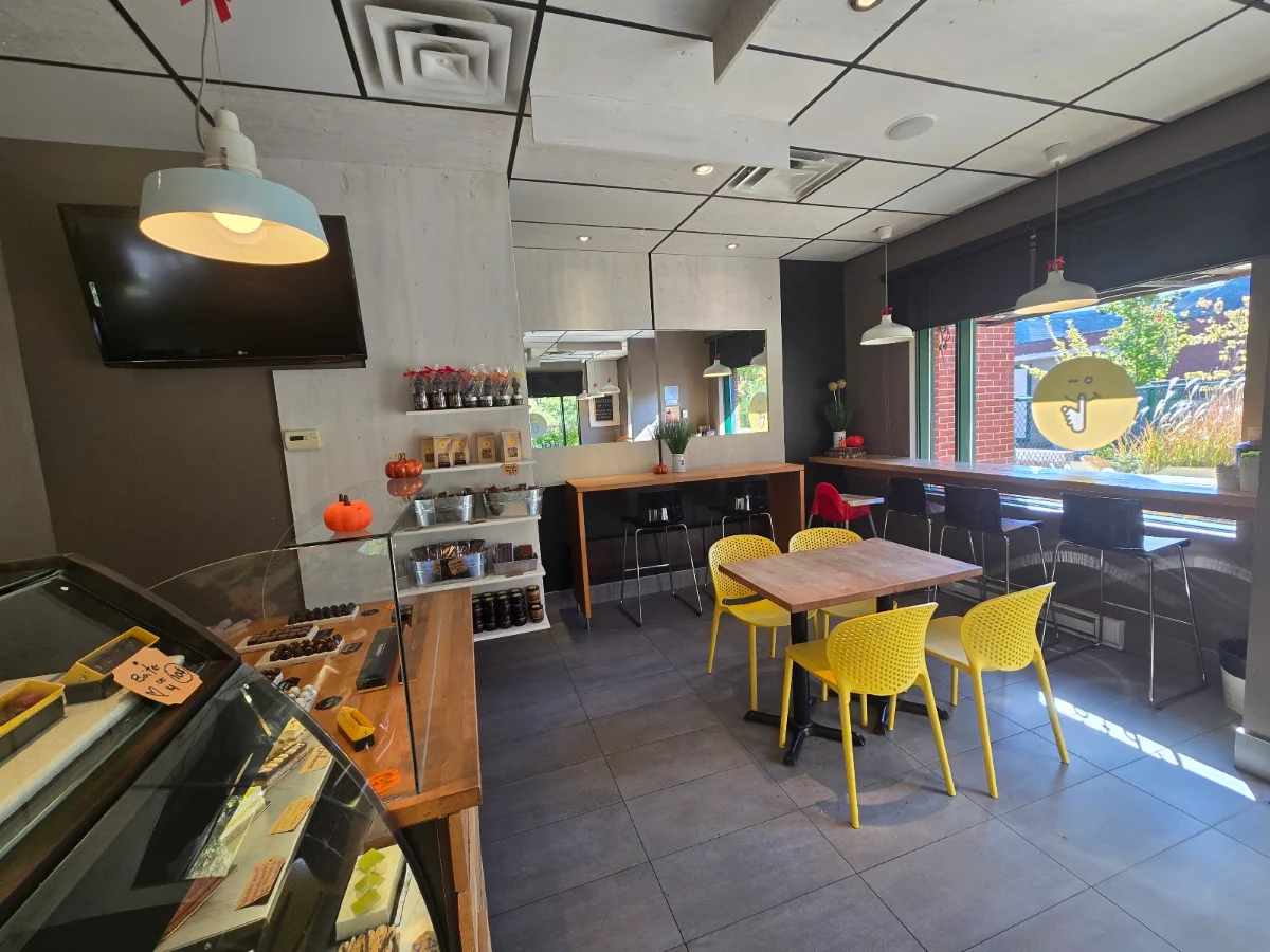 Vibe, Peccadille - Pâtisserie Chocolaterie Café