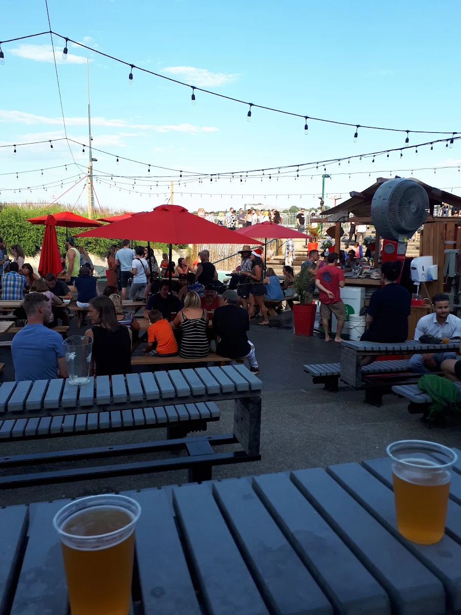 Vibe, The Backyard of the Beerfest