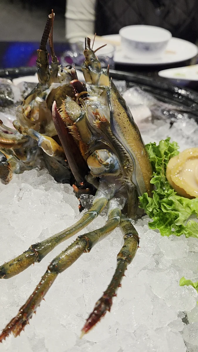 Food & drink photo 8