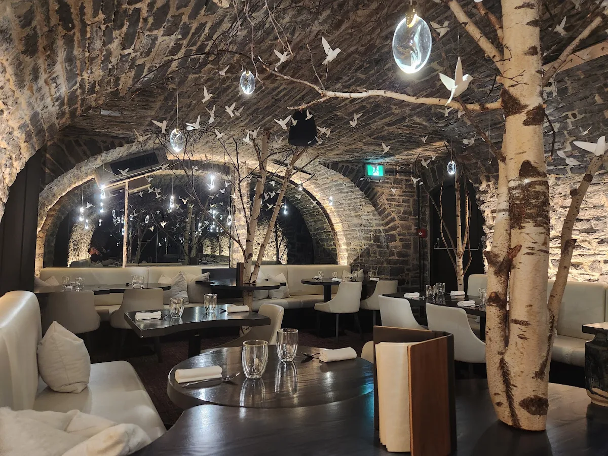 Vibe, Restaurant Tanière³