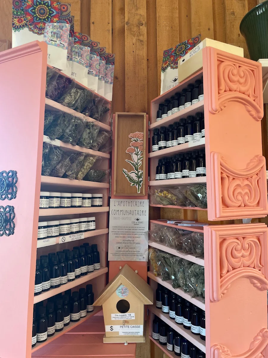 Vibe, L'Hybride — café & librairie