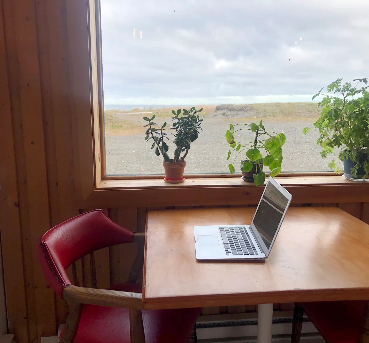 Vibe, L'Hybride — café & librairie