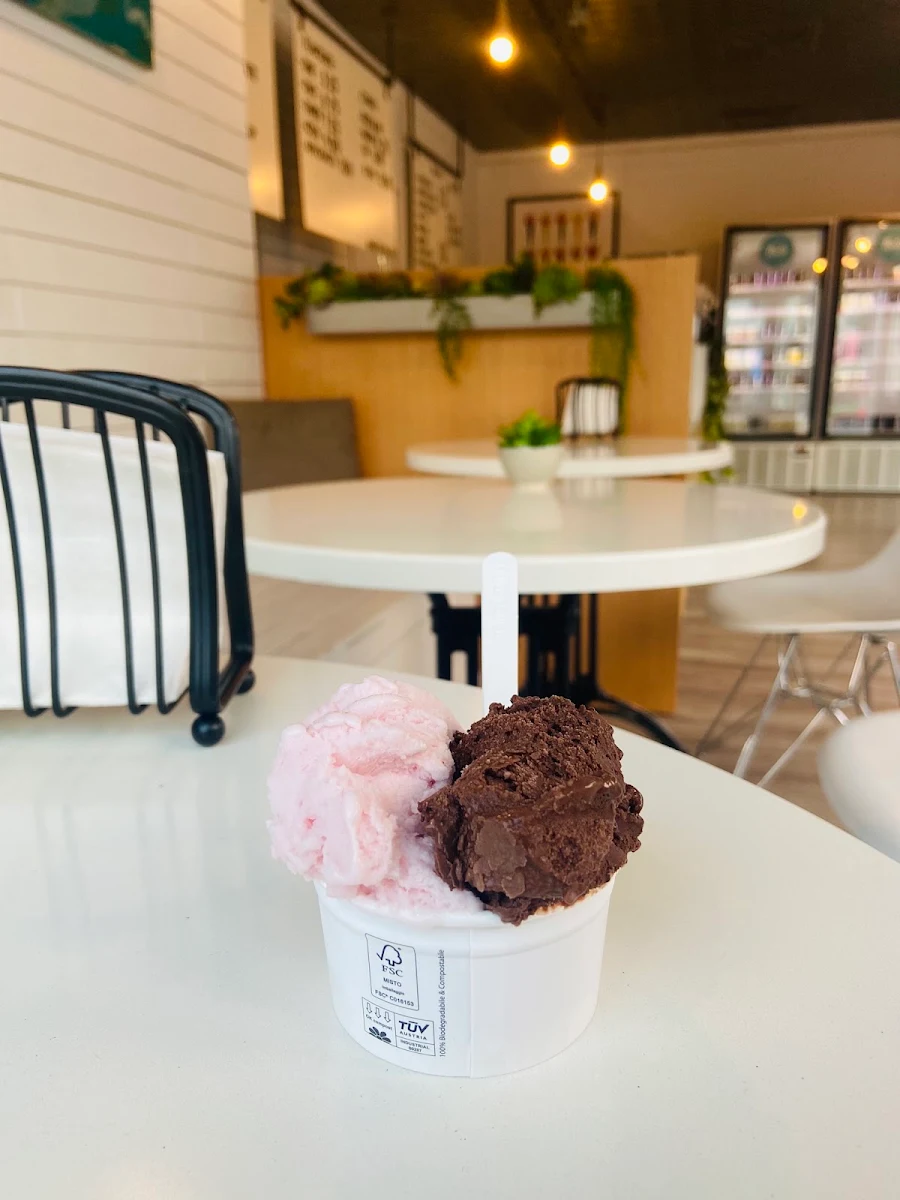 Food & drink, Noto Gelato