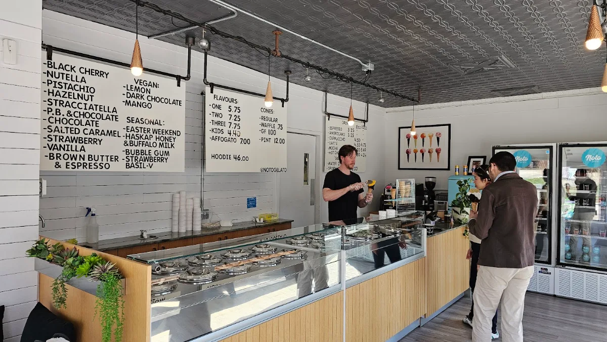 Vibe, Noto Gelato