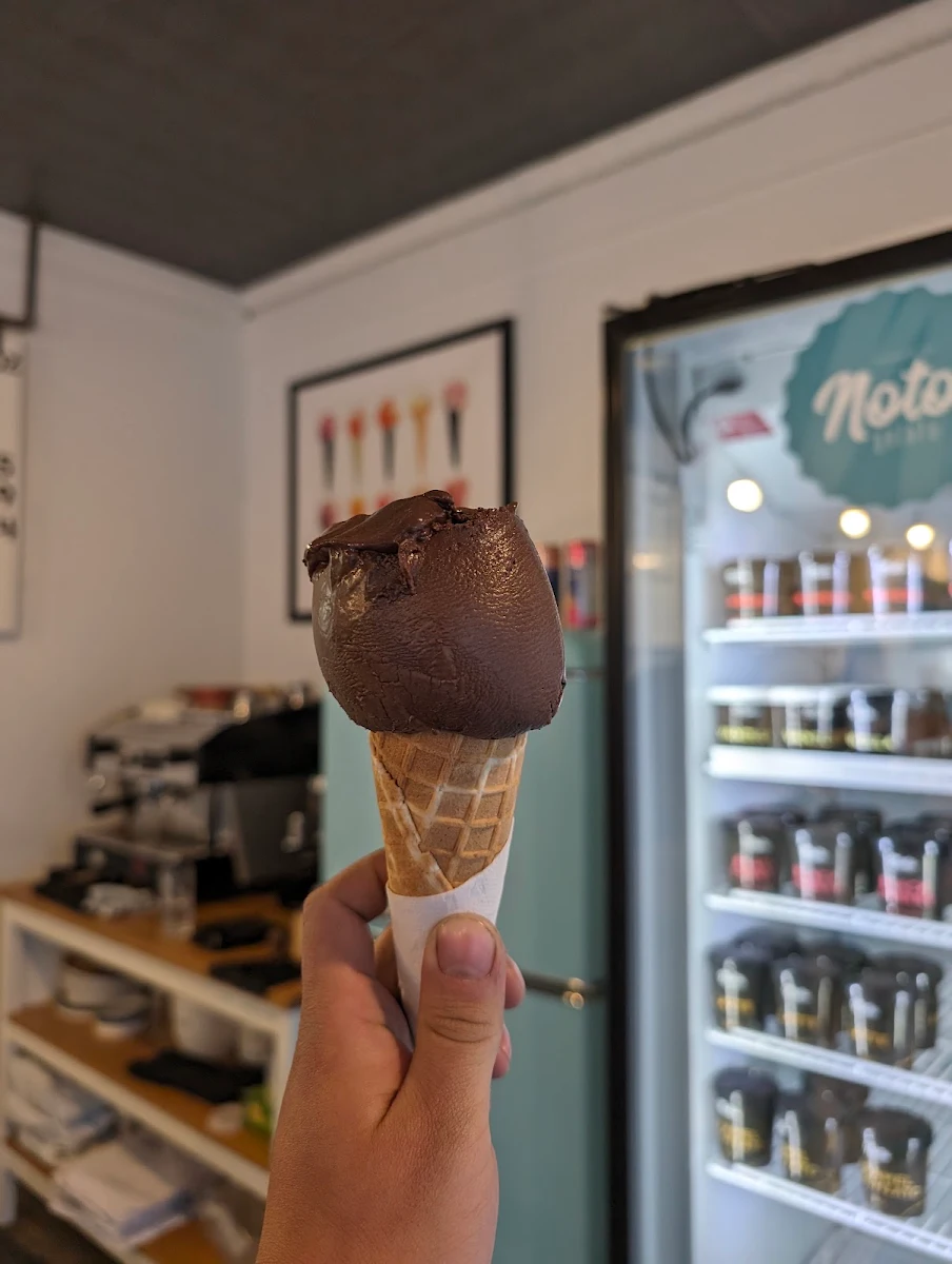 Vibe, Noto Gelato