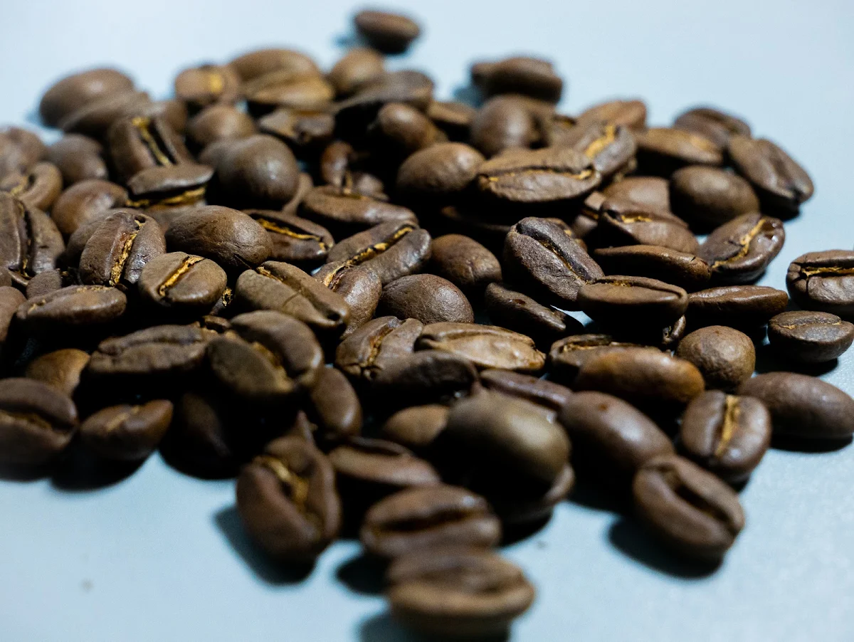 Food & drink, Vine Coffee Roasters