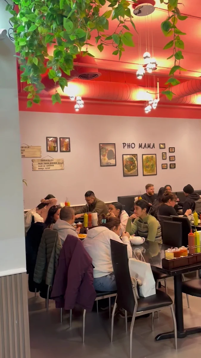 Vibe, Pho Mama Oakville
