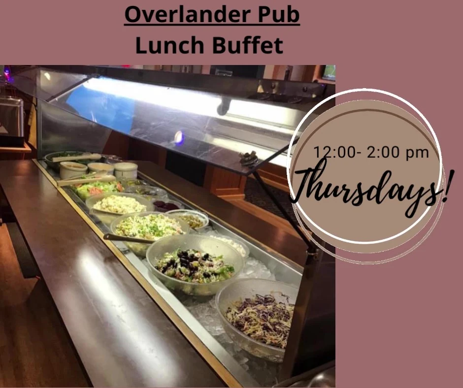 Vibe, Overlander Pub