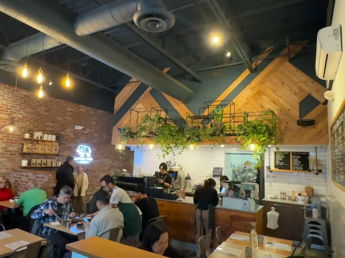 Vibe, Elephant Grind Coffee