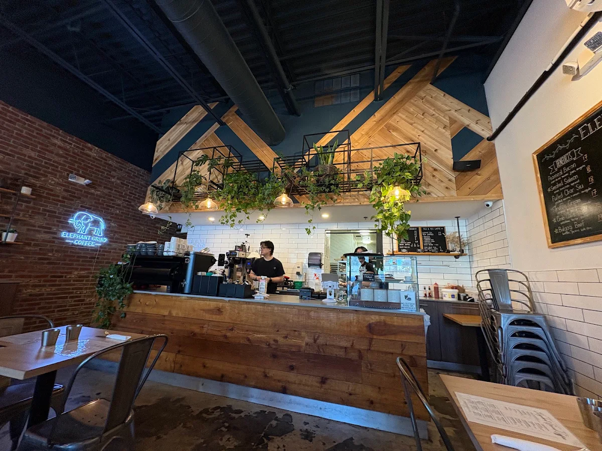 Vibe, Elephant Grind Coffee