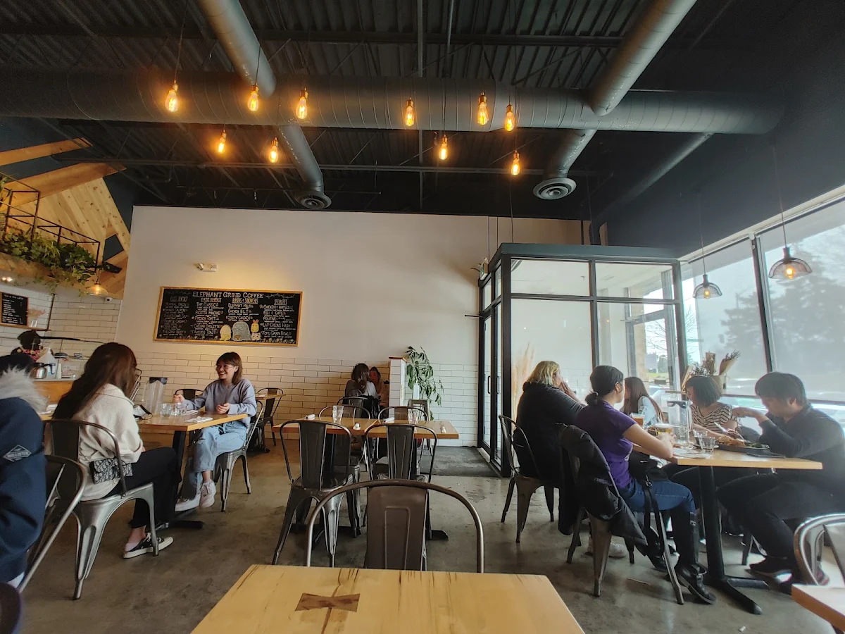 Vibe, Elephant Grind Coffee