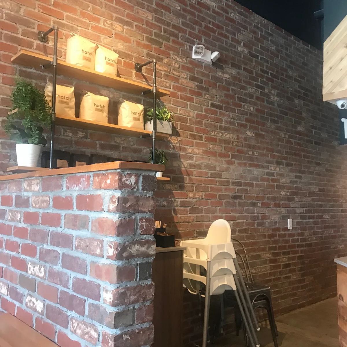 Vibe, Elephant Grind Coffee