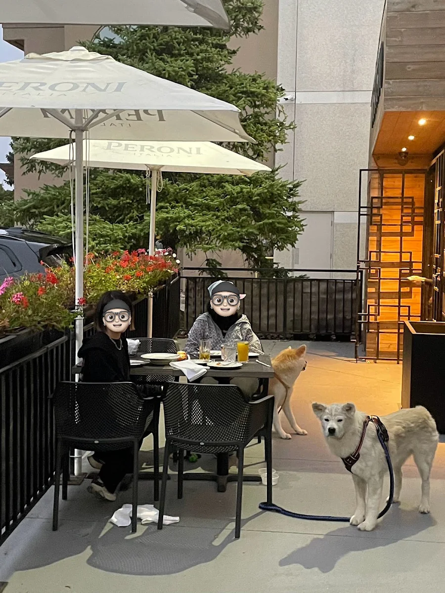 Vibe, Nascosto Ristorante