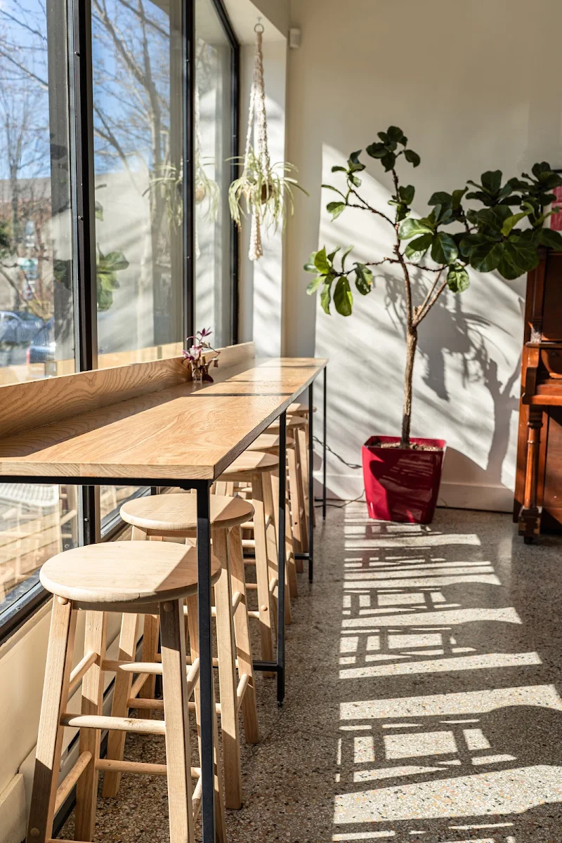 Vibe, Le Café Magda
