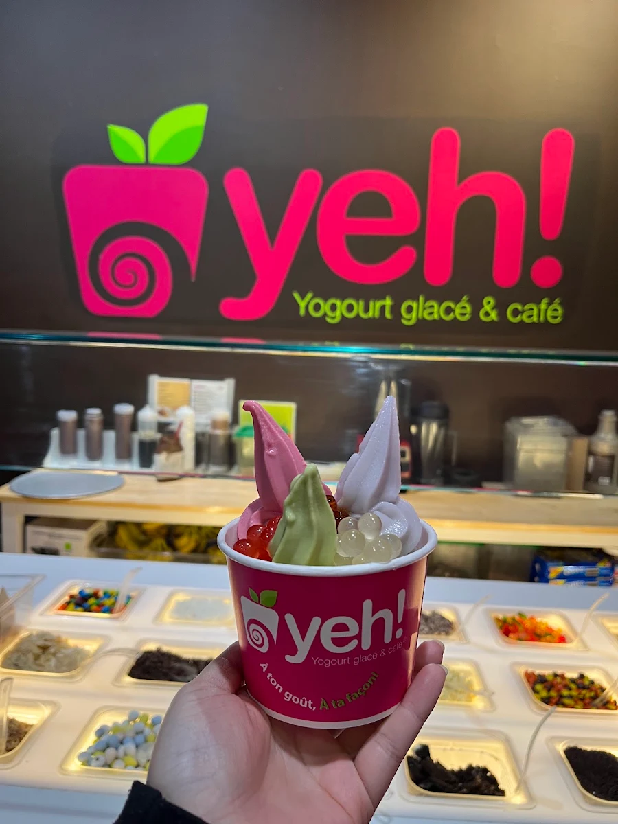 Food & drink, Yeh! Frozen Yogurt
