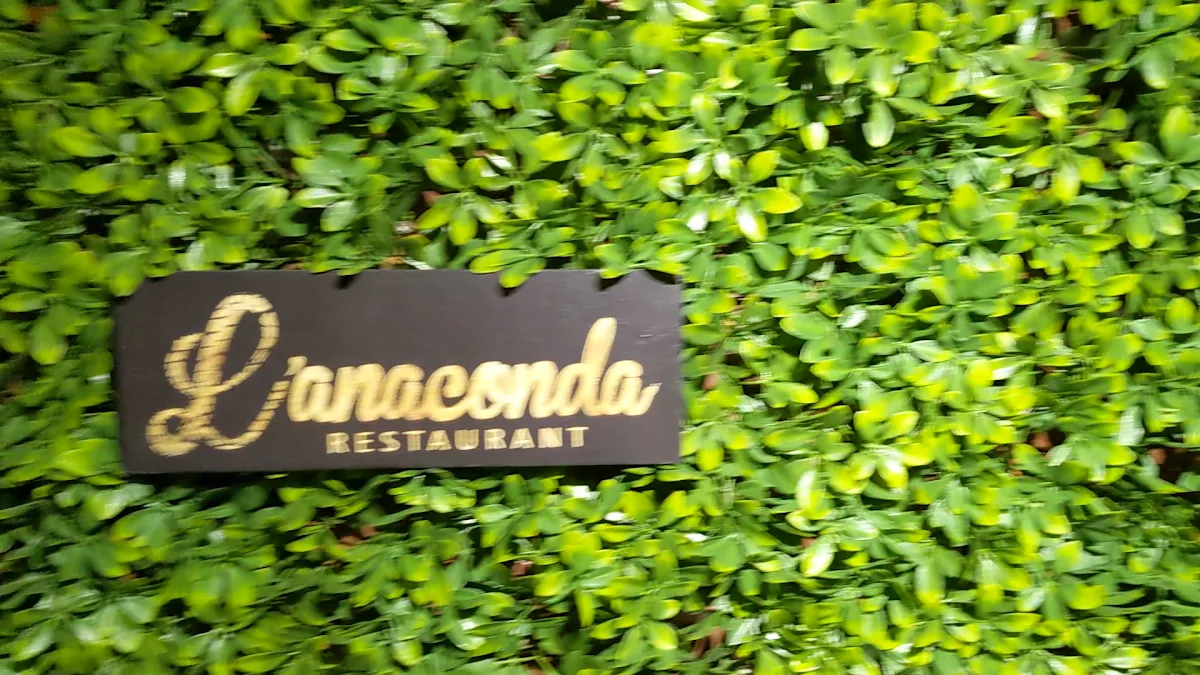 Vibe, L'Anaconda