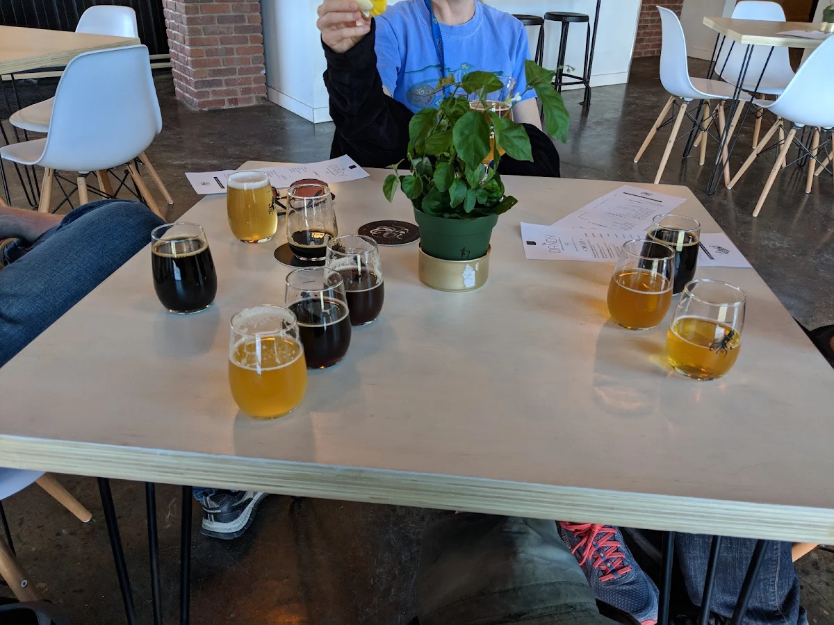 Vibe, The Dandy Brewing Company and DandyPizza
