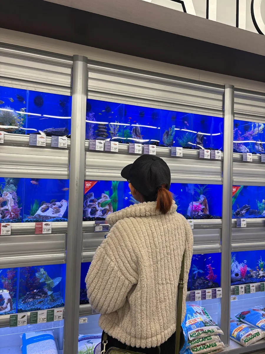Vibe, Arigato Sushi