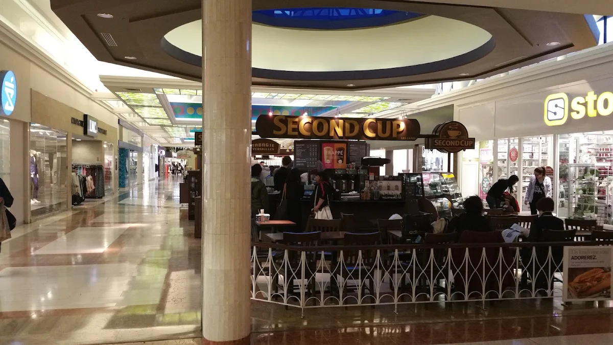 Vibe, Second Cup Café
